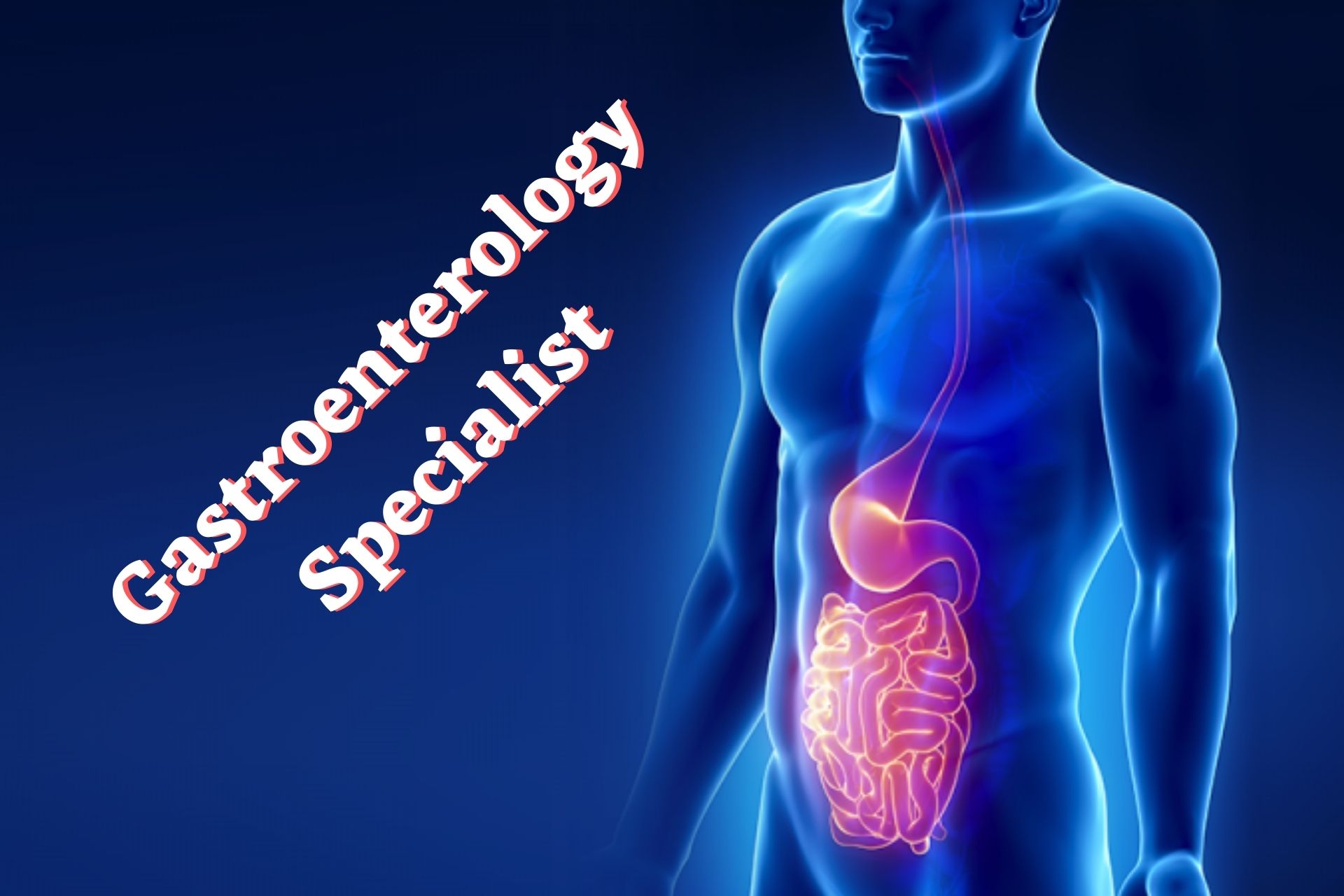Gastroenterology Specialist Doctors